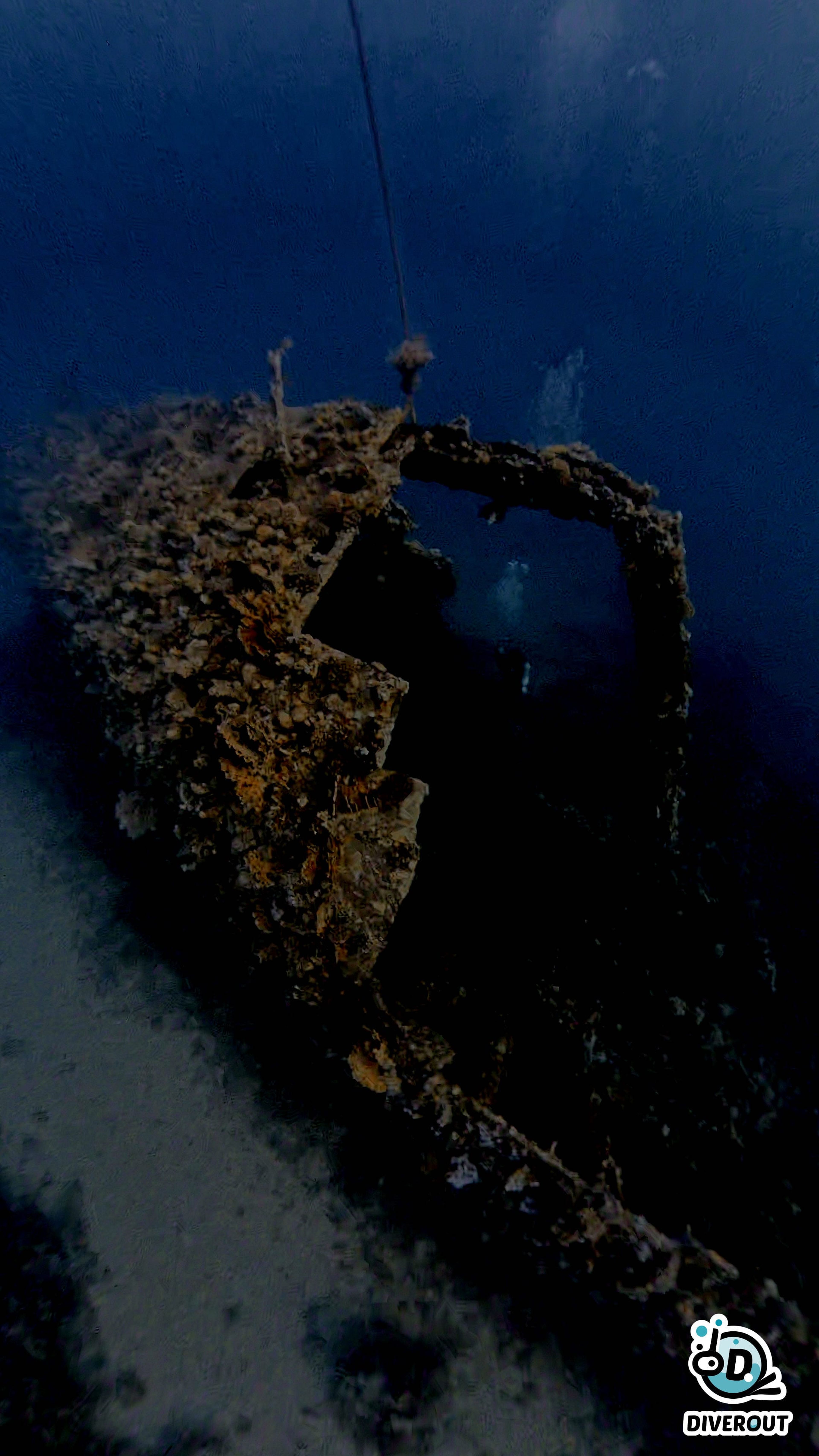 Semra Üldes's dive log