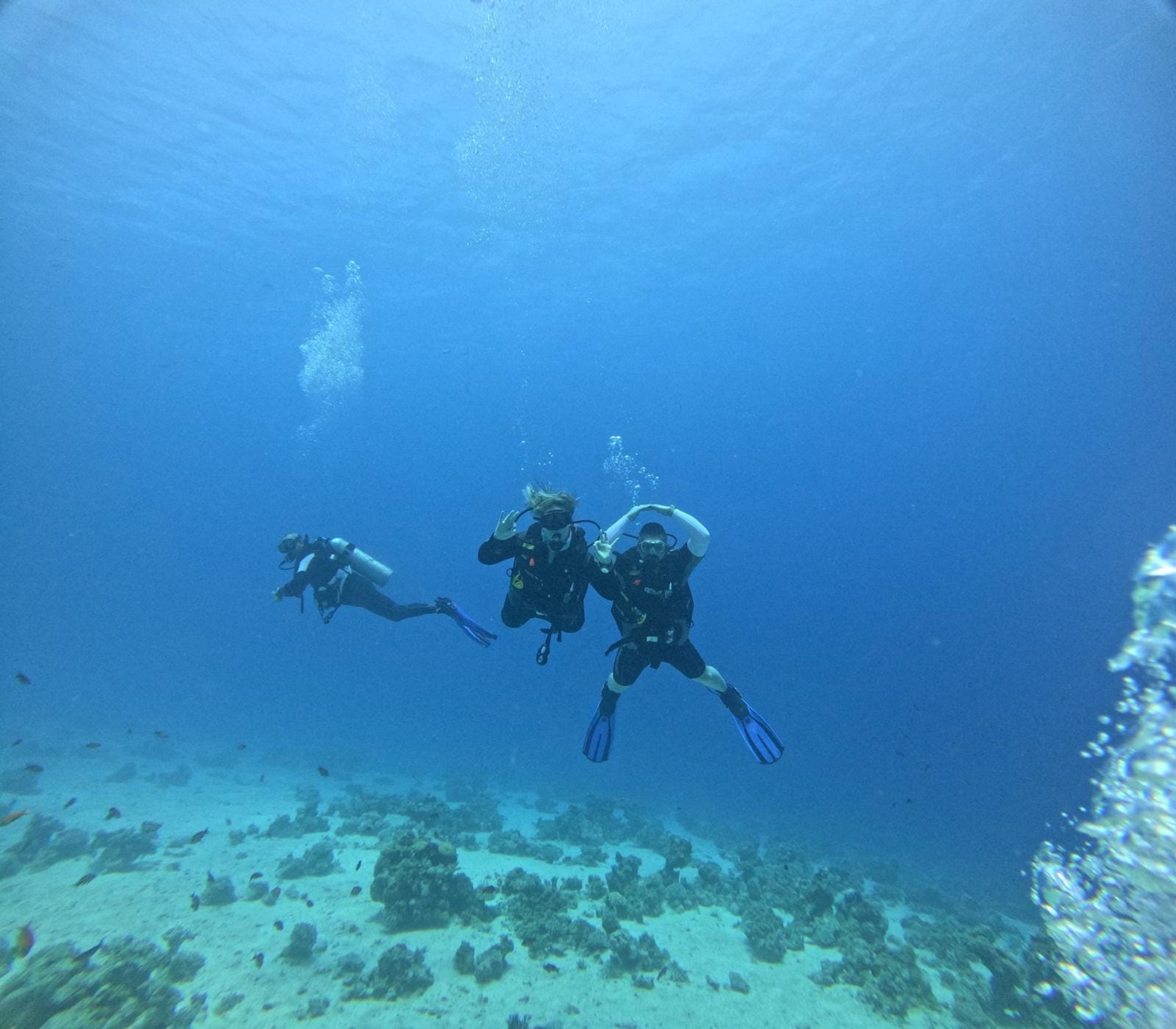 EMRE BARIN's dive log