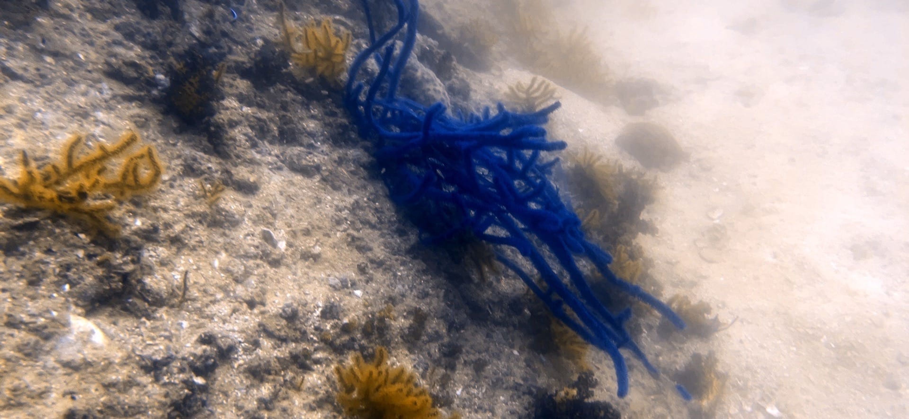 Fujeirah