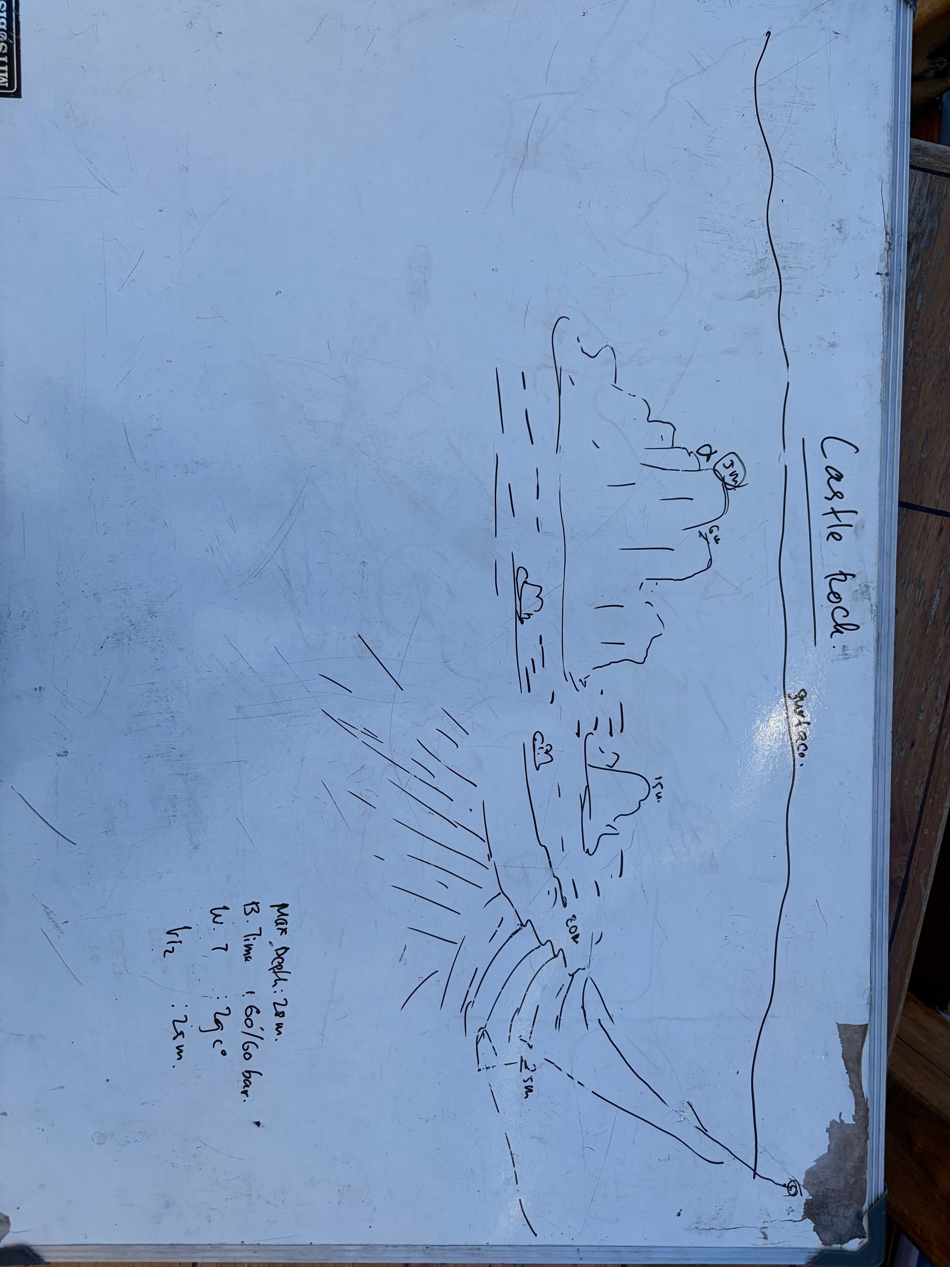 Zixiong Guo's dive log
