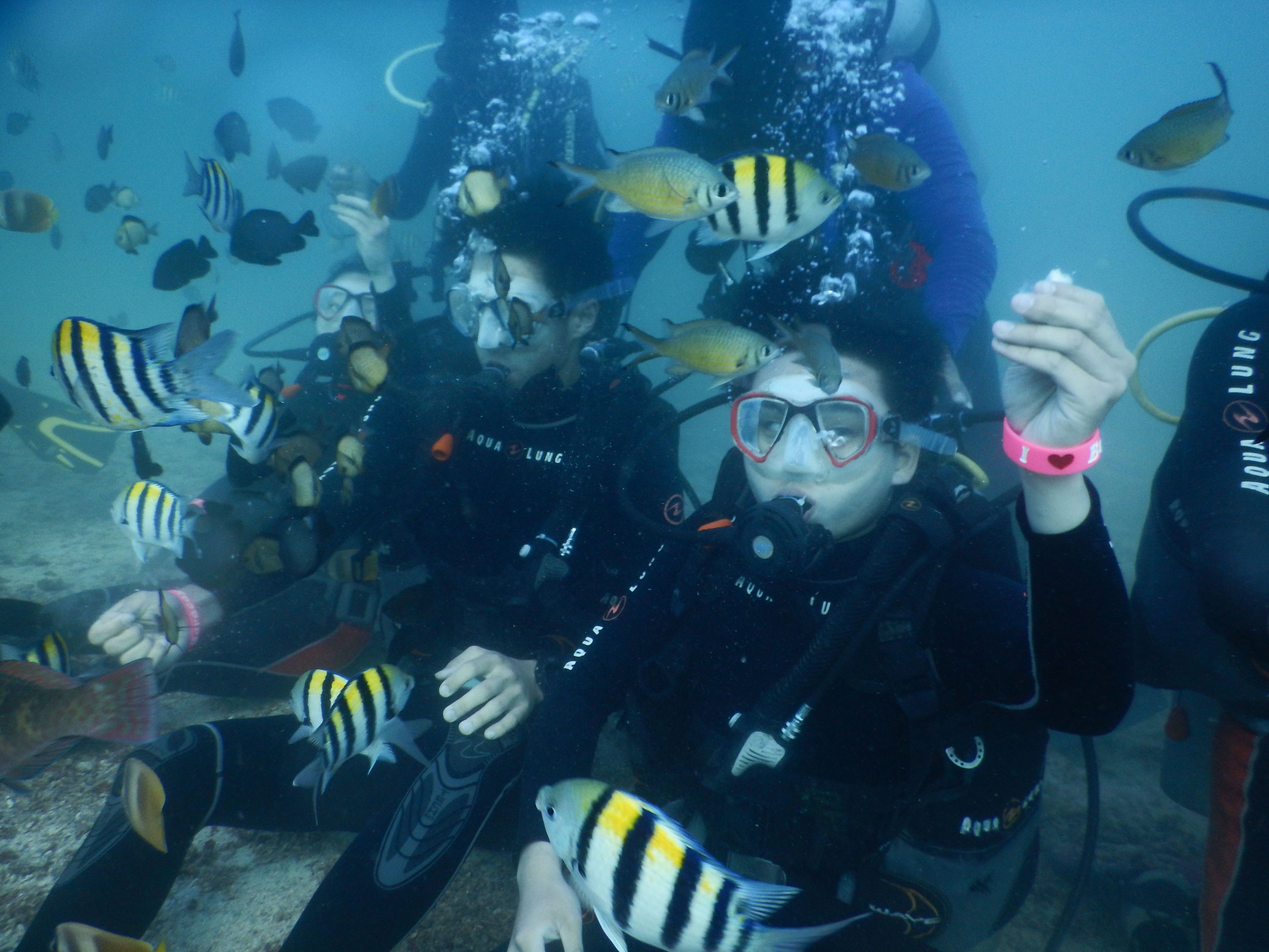 Scuba diving at Coral Gardens