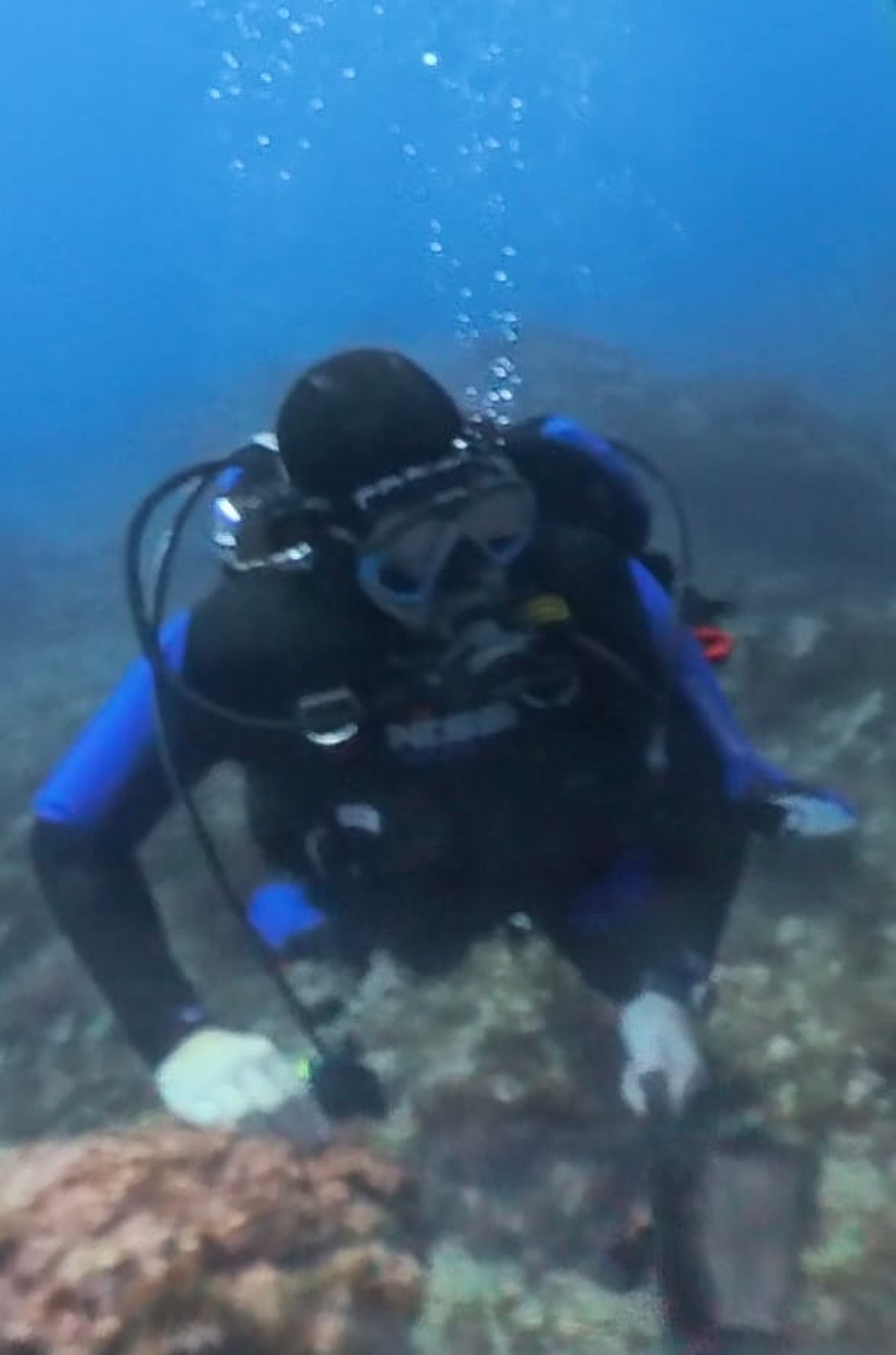 Diver#robkbush