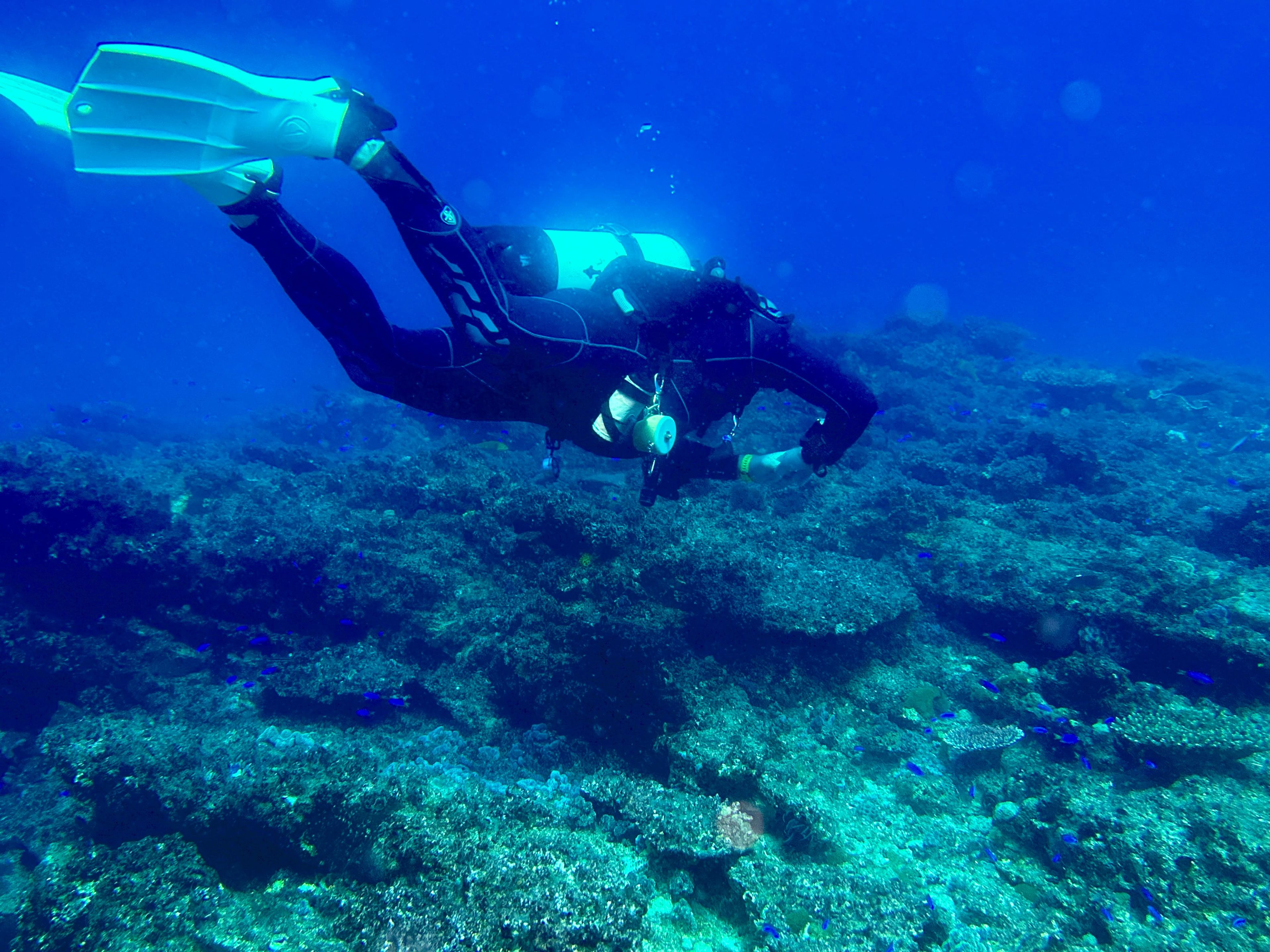 Oceanic+