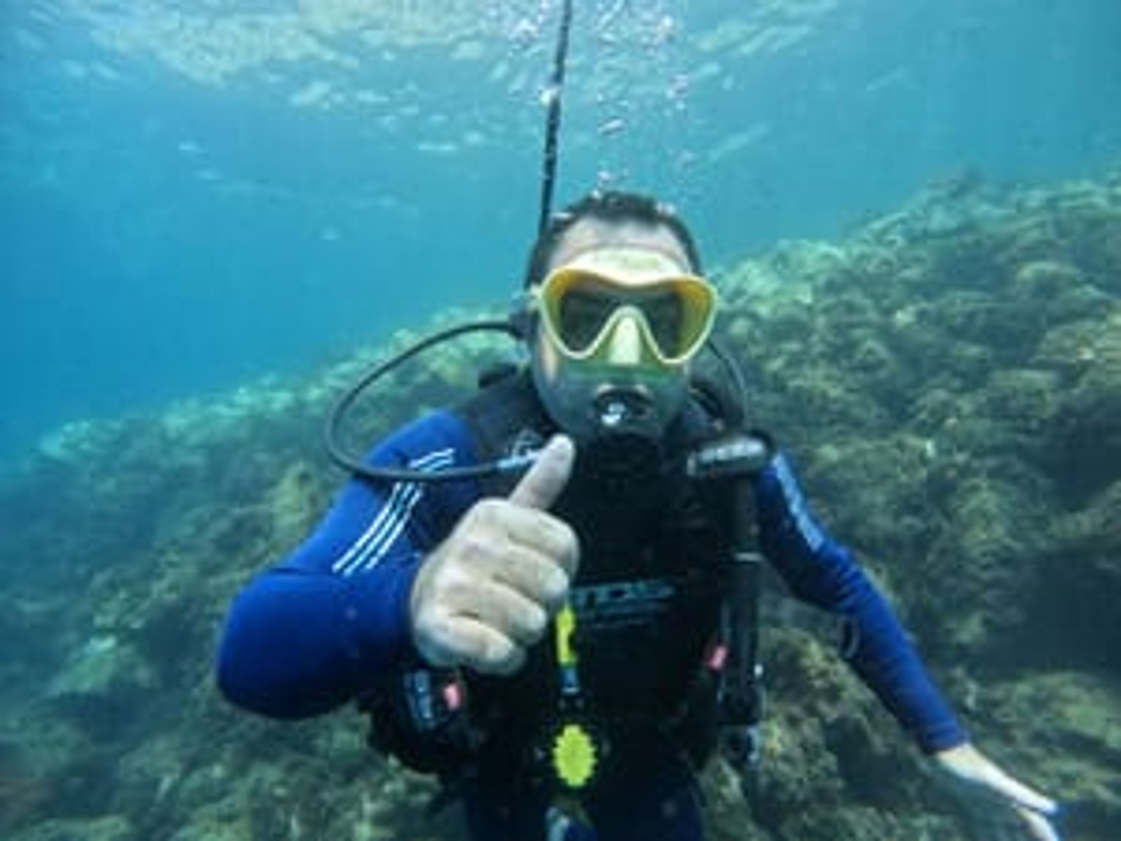 Diver#frsaeta