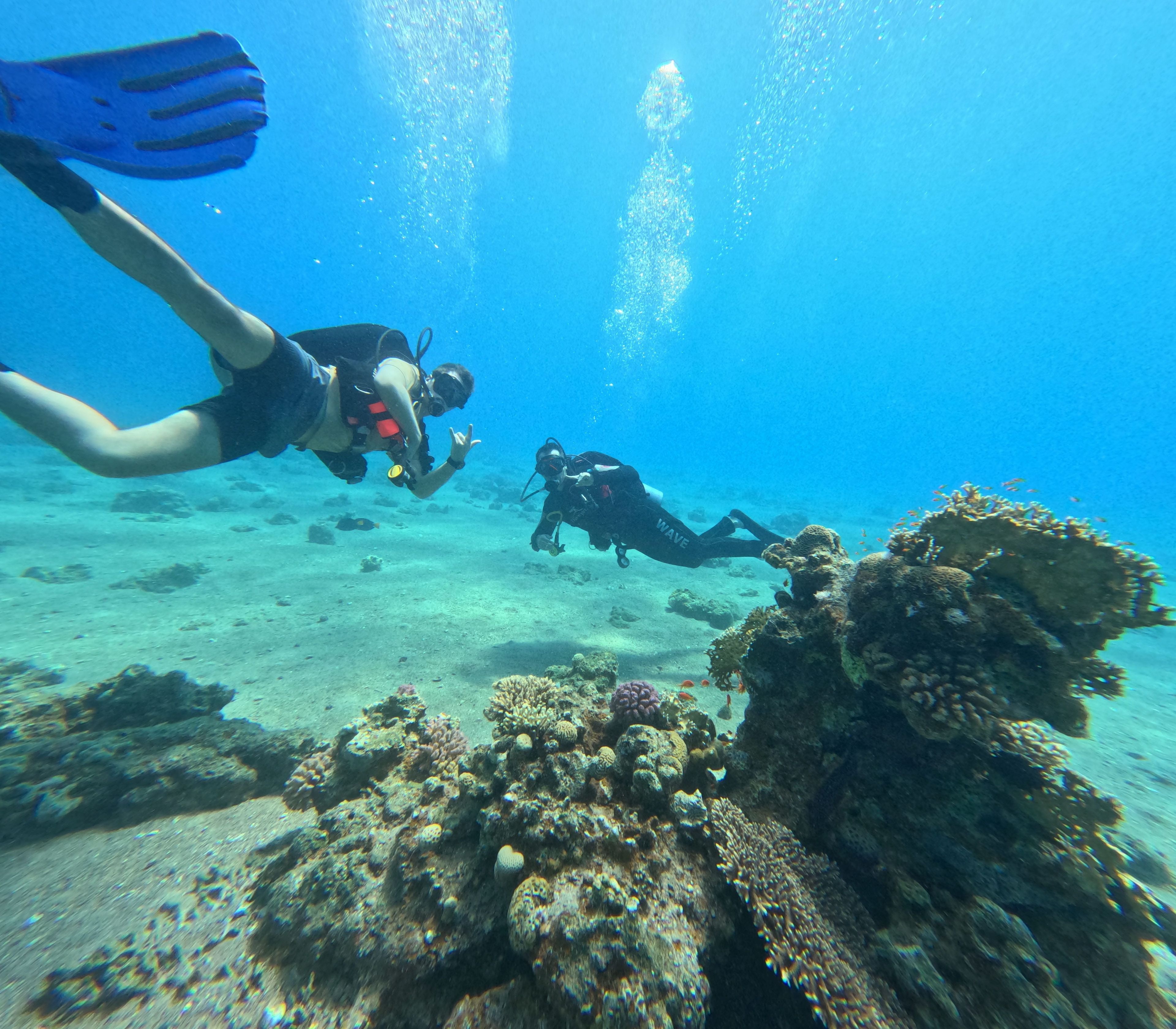Liron Stettiner's dive log