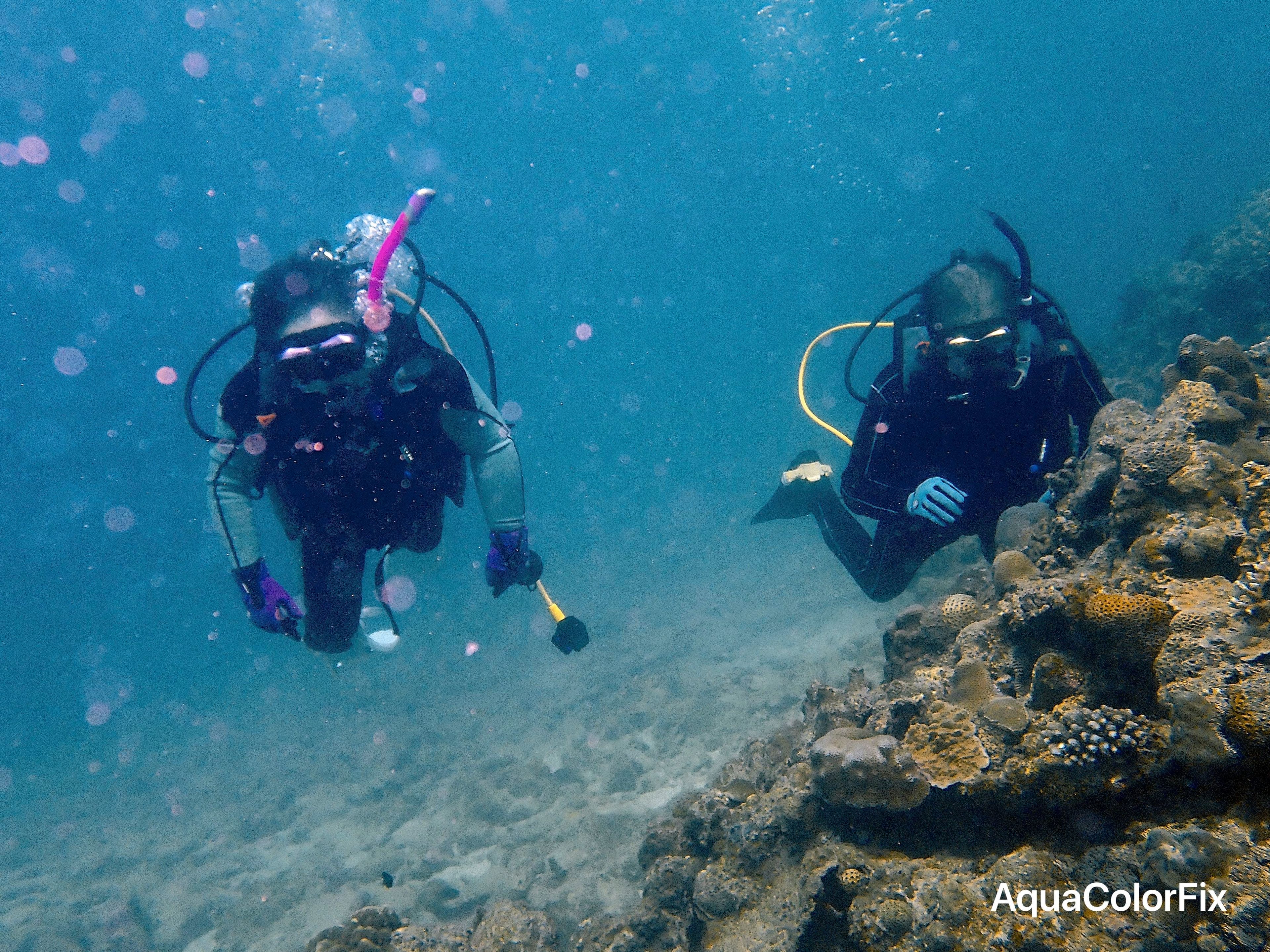 薫史 北川's dive log