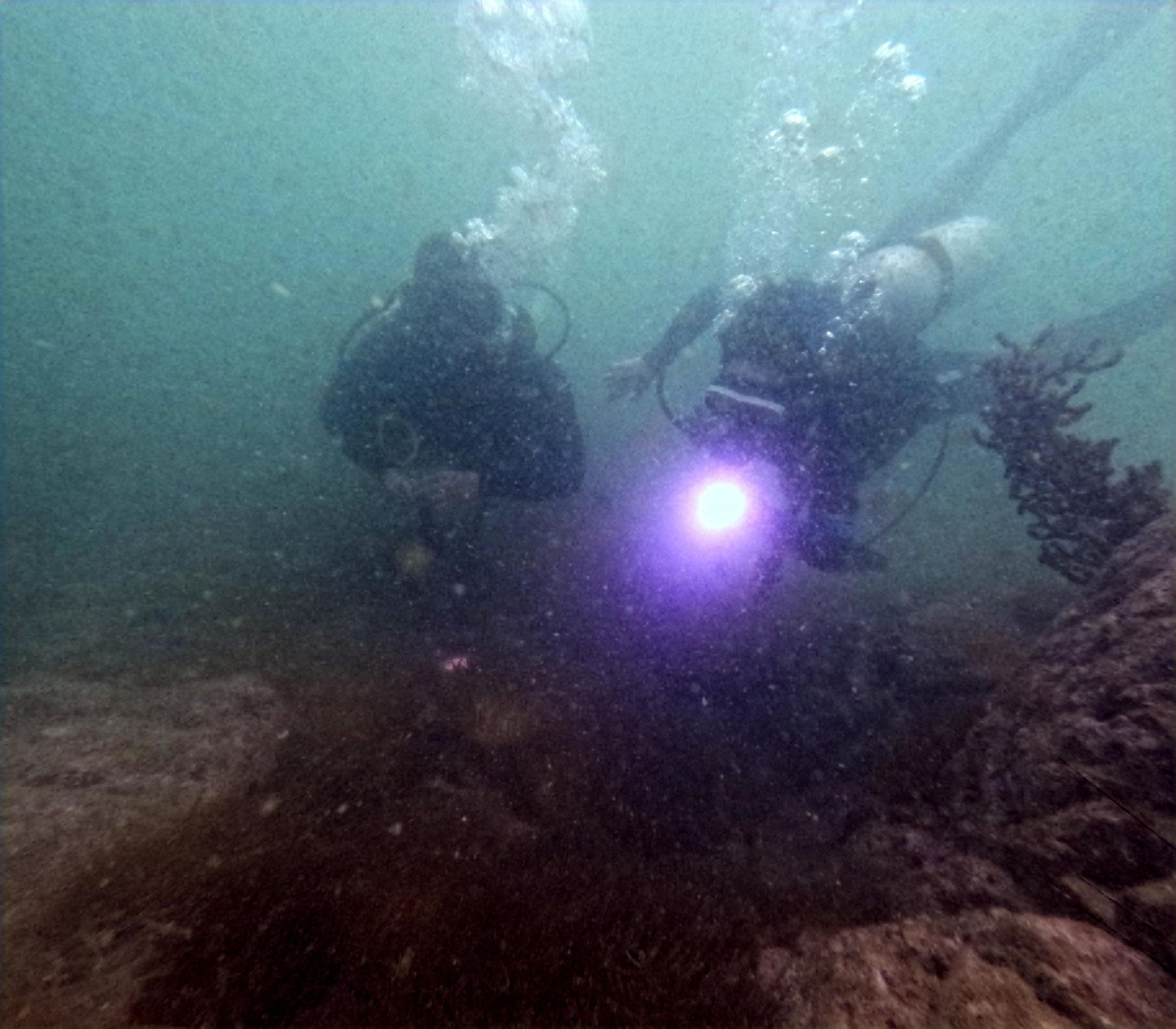 Scuba diving at Sharp Island 橋咀南