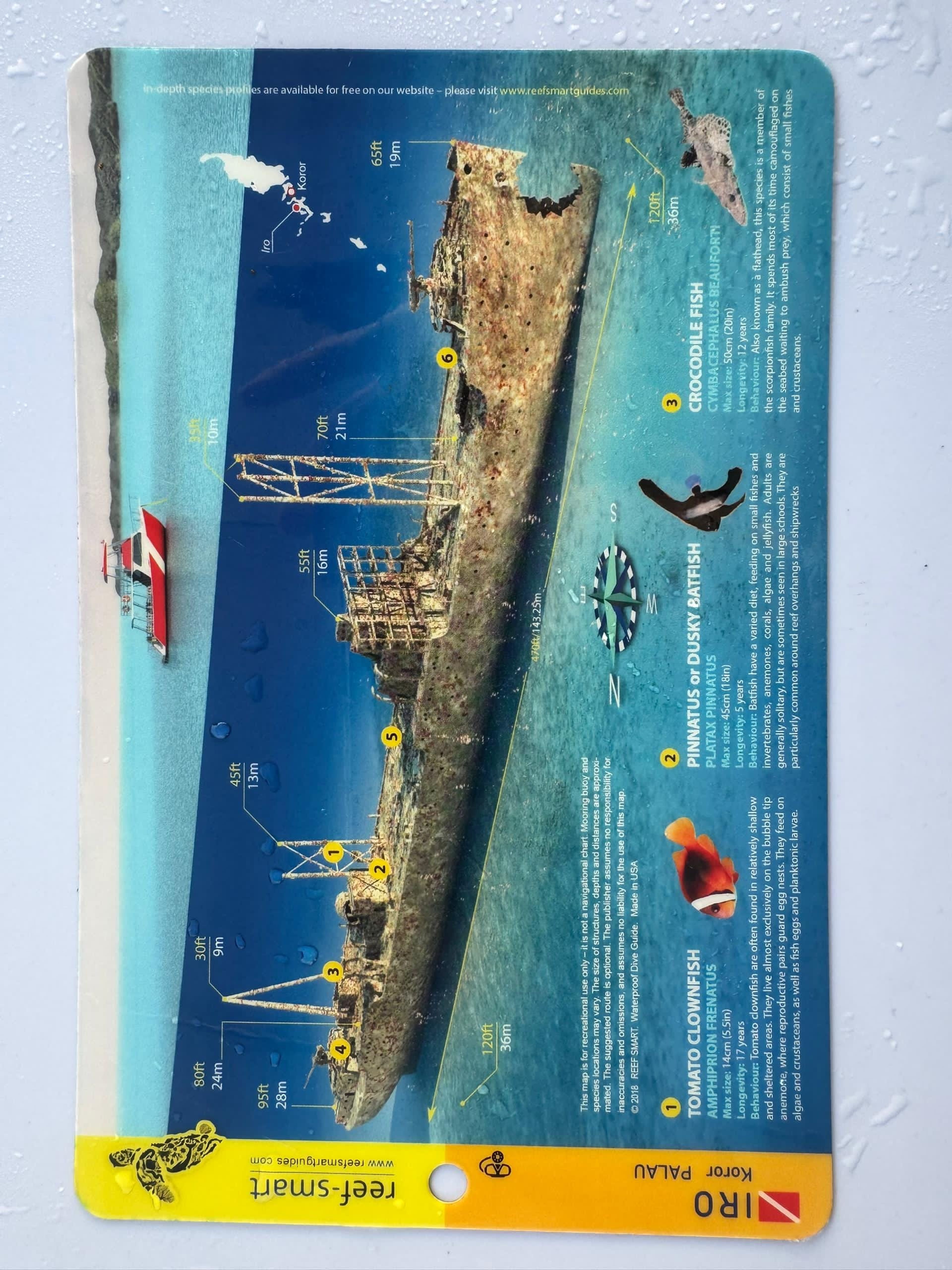jordan law's dive log
