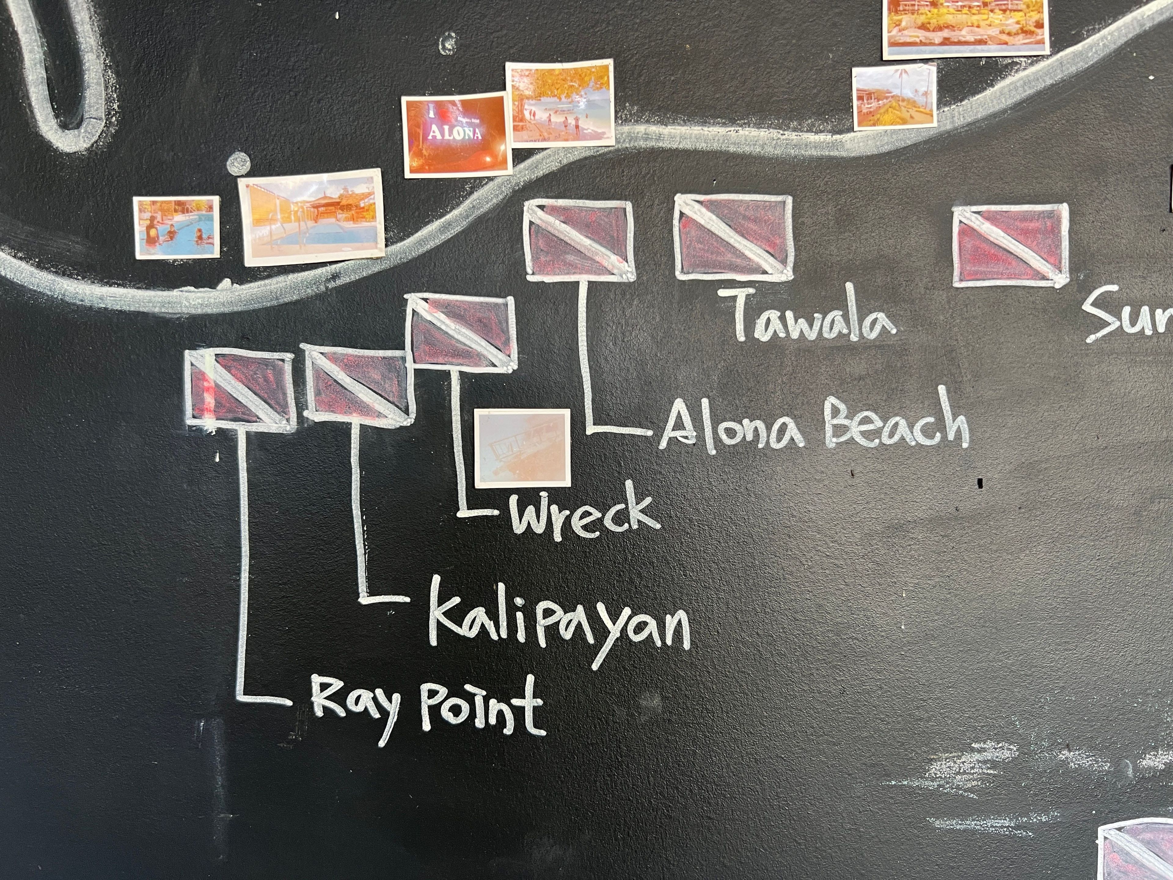 Scuba diving at Alona Beach House Reef