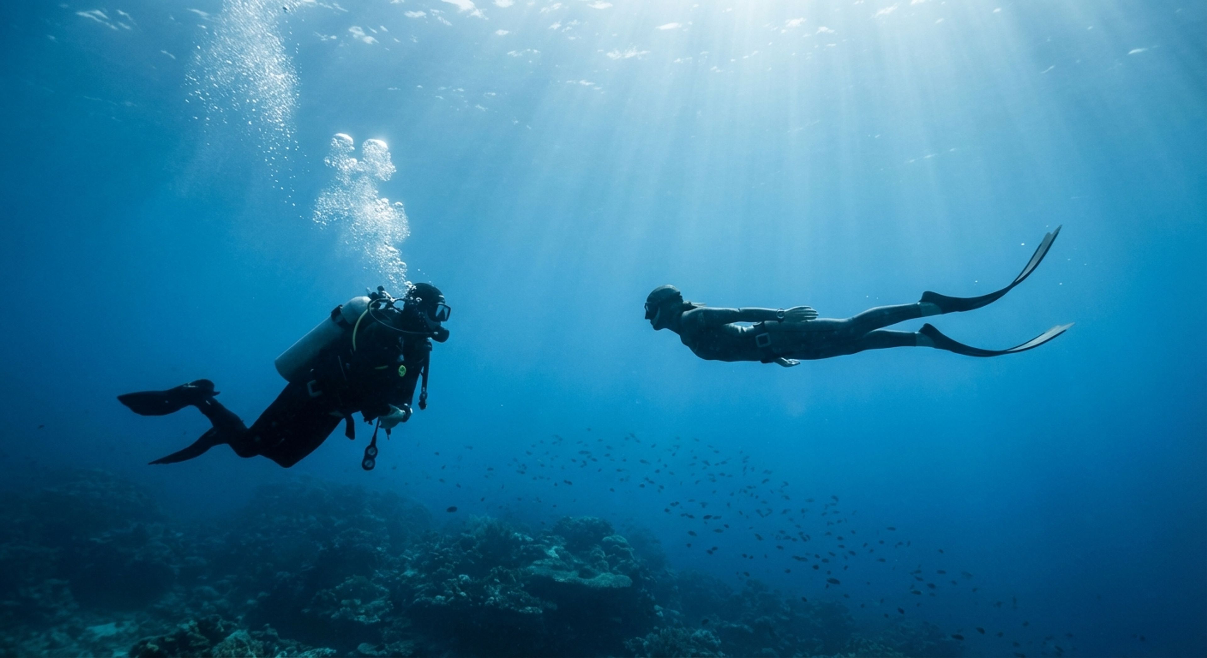 Silence Within the Noise: How Apnea Improves Your Scuba