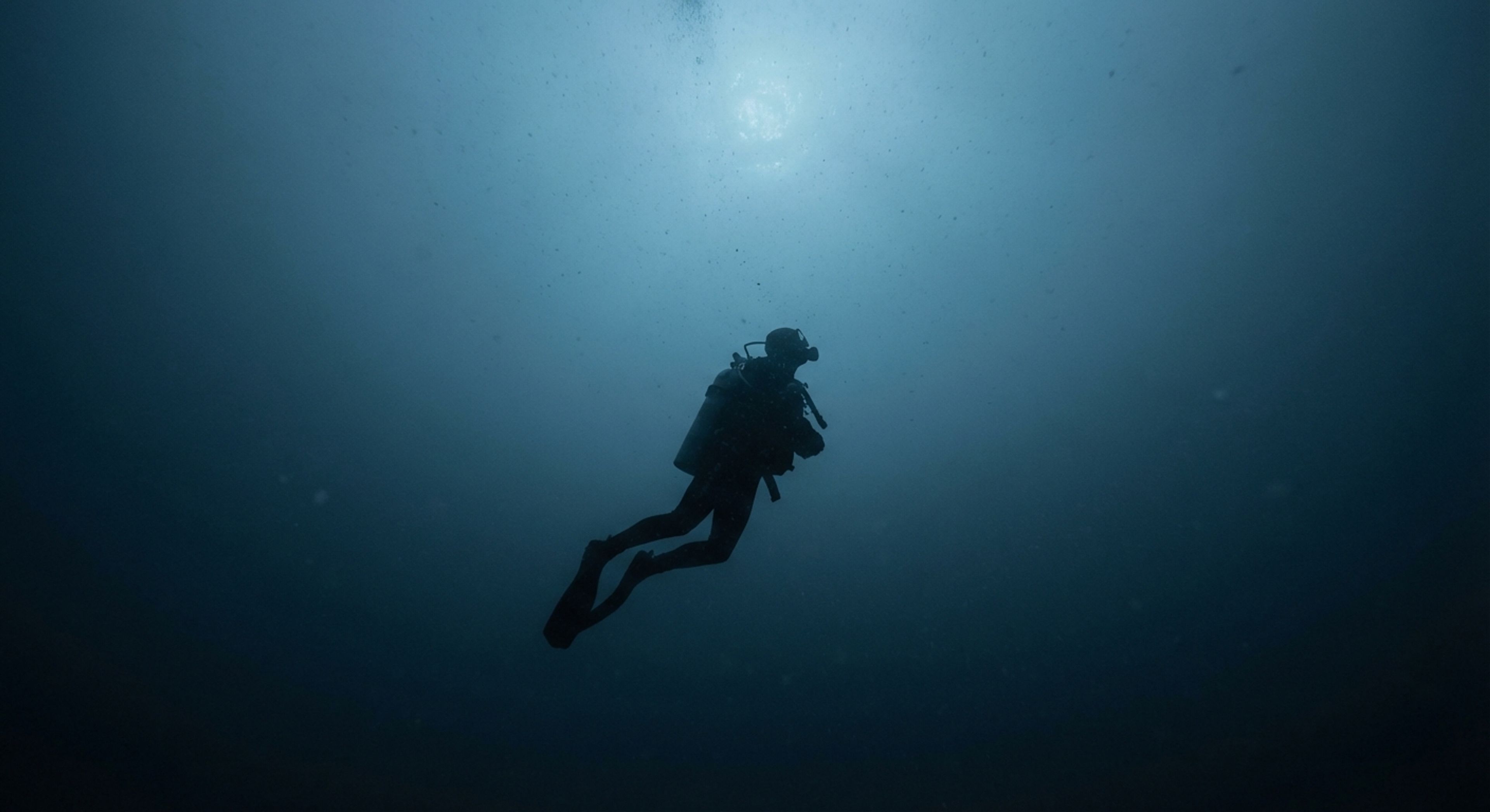 Diver Silhouette