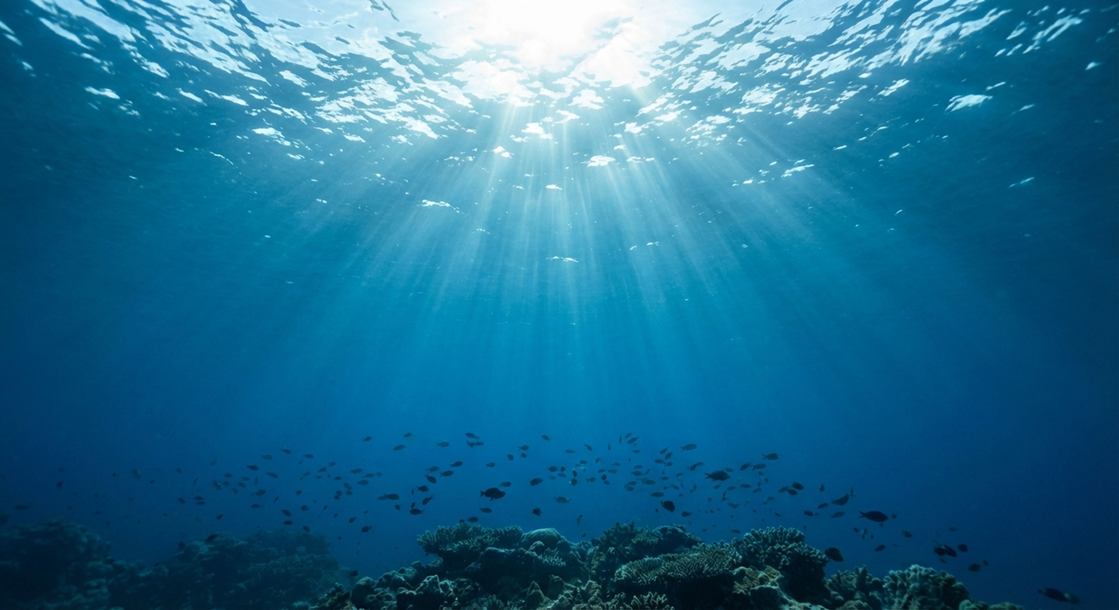 Rayos de sol bajo el agua